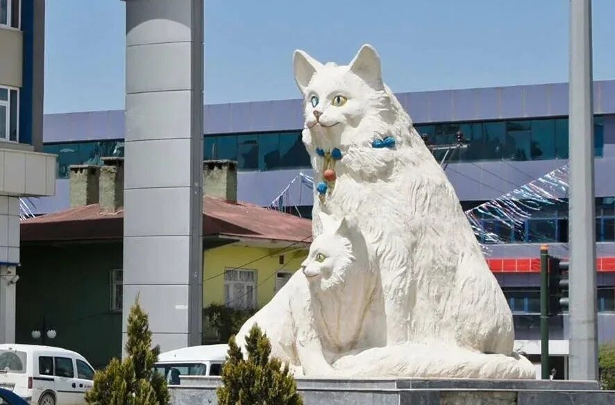 Turkey cats. Памятник Ванские кошки Турция. Памятник турецким кошкам ванам. Турецкий Ван кот. Памятник кошке турецкая ангора Анкара памятник.