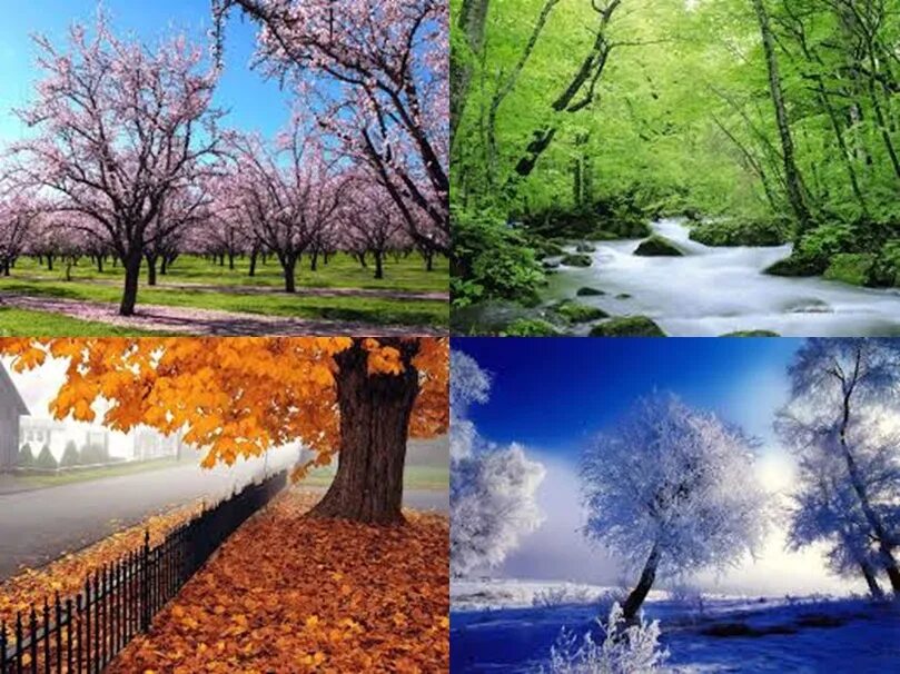 Seasons. Mevsimler. Продукция Mevsim. Climate seasons