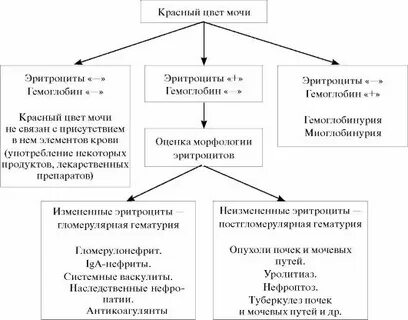 Гематурия критерии
