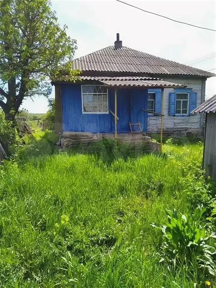 Богучар ул тенистая. Воронежская область, богучарский р-н, с. Самые свежие объявления на авито в богучаре. Авито богучар. Богучар дома.