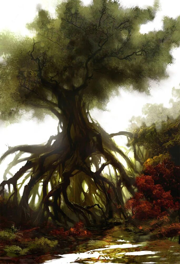 Ancient trees