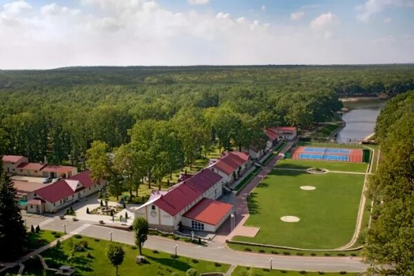 Форест парк липецк. Форест парк задонск. Форест парк задонск. Задонск веревочный городок форест парк. Форест задонск.