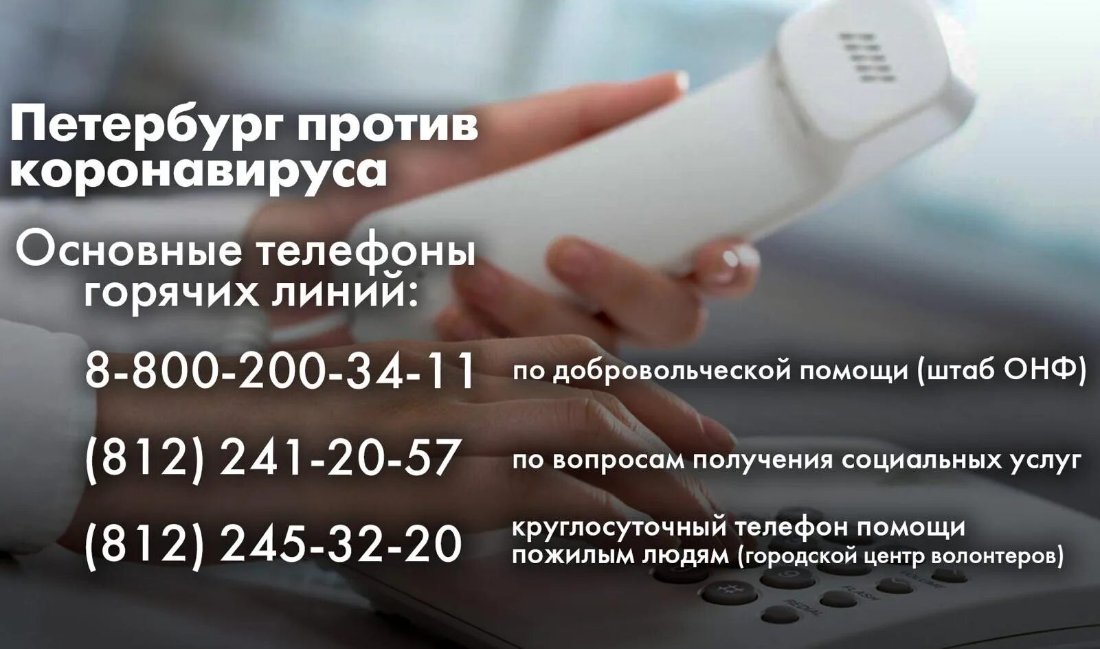 Работа россии телефон горячей. Горячая линия. Горячая линия коронавирус. Горячая линия СПБ. Телефон горячей линии в Санкт Петербурге.