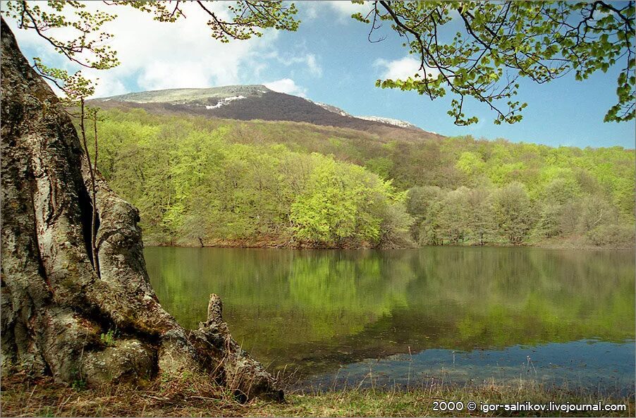 кутузовское озеро смотровая. кутузовское озеро ангарский перевал. роща секвой алушта. кутузовское озеро алушта. кутузовское озеро алушта.