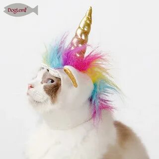 Котэ единорожек