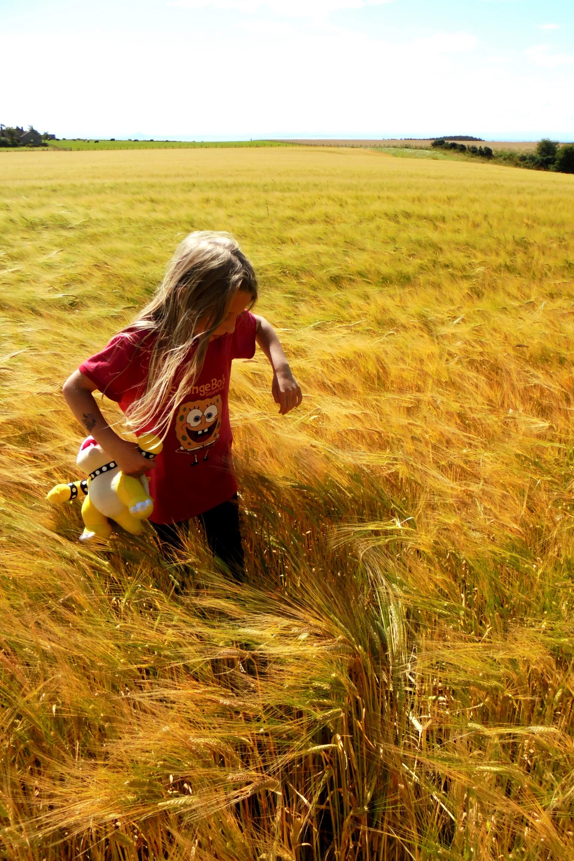 Фотосессия в поле. Фотосессия в пшеничном поле. Девушка в поле. Девушка в поле фотосессия.