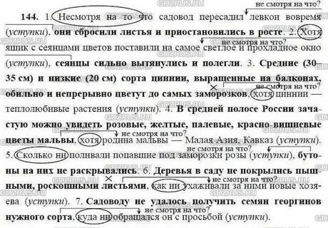 Характеристика русский язык 9 класс
