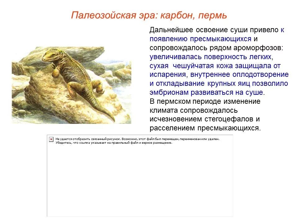 Ароморфозы эры палеозой. Основные периоды палеозойской эры. Палеозойская Эра периоды животные. Палеозойская Эра характеристика периодов. Основные события раннего палеозоя.