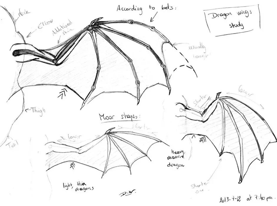 Драконьи крылья выкройка. Перепончатые крылья дракона. Крылья дракона референс. Крылья дракона вышивка. Крылья дракона схема.