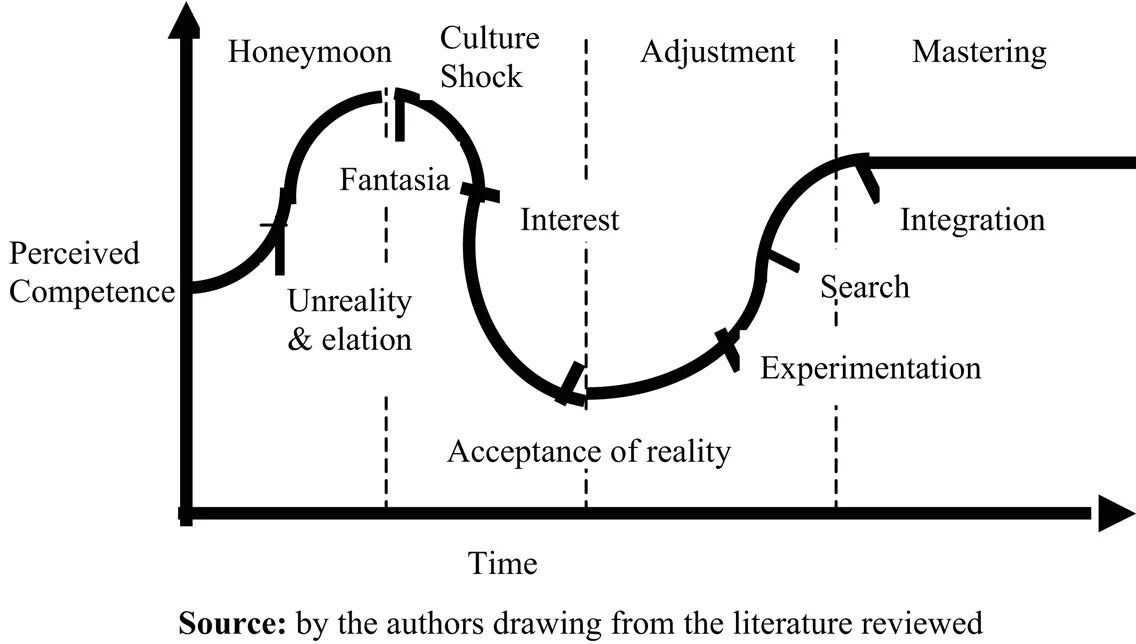 Шок перевод. Culture Shock. Стадии культурного шока на английском. Culture Shock curve. Культурный ШОК иллюстрации.