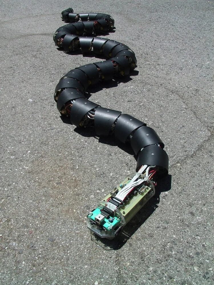 Змейка робот. Робот Snakebot. Японский робот ACM-r5. Робот "змея". Мобильный робот ползающий.