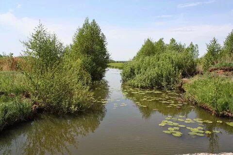 Сивинь мордовия