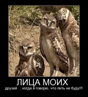 День после пятницы