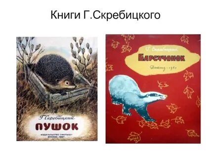 Чему научила сказка скребицкий 3 класс