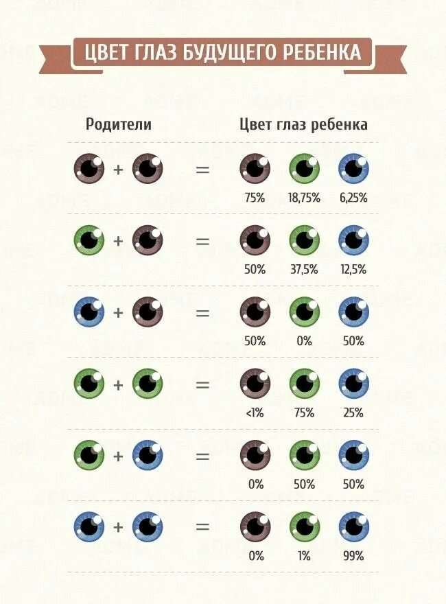 Какого цвета глазки. Таблица цвета глаз у ребенка. Цвет глаз малыша таблица. Таблица определения цвета глаз у ребенка от родителей. Цвет глаз у ребёнка от родителей таблица.
