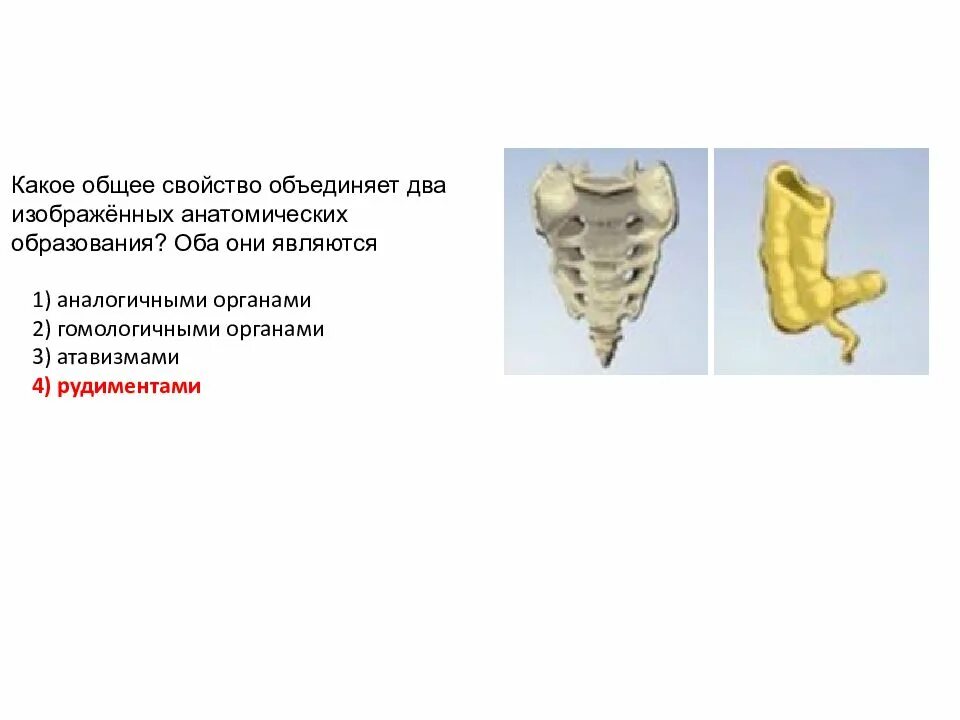 Какое общее свойство. Какое общее. огэ по биологии общее свойство. огэ по биологии задание 1, какое общее свойство.
