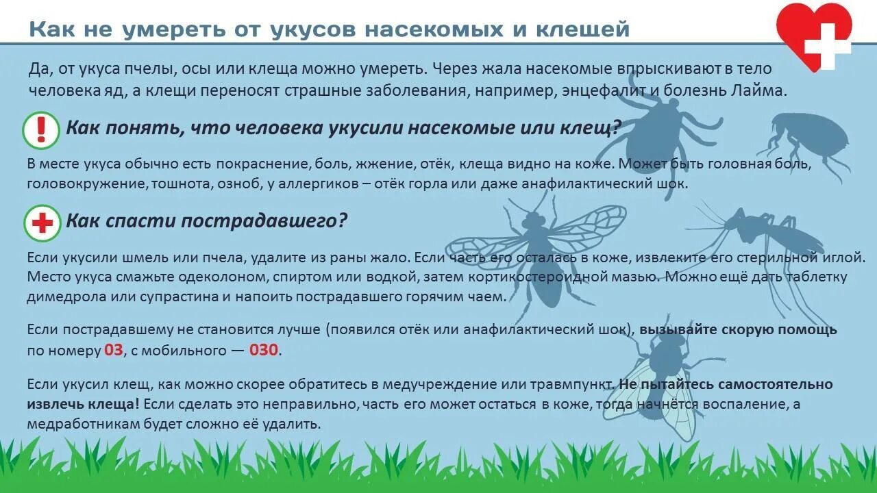 Почему необходимо бороться с комарами и клещами