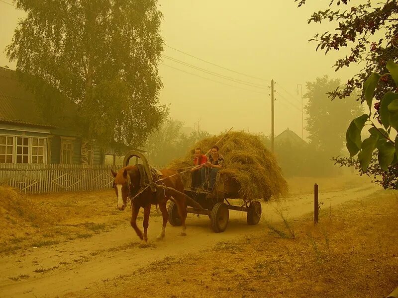 Лежать на возу. Лежать на возу. Лежать на возу. Копна из сена. Лежать на возу.