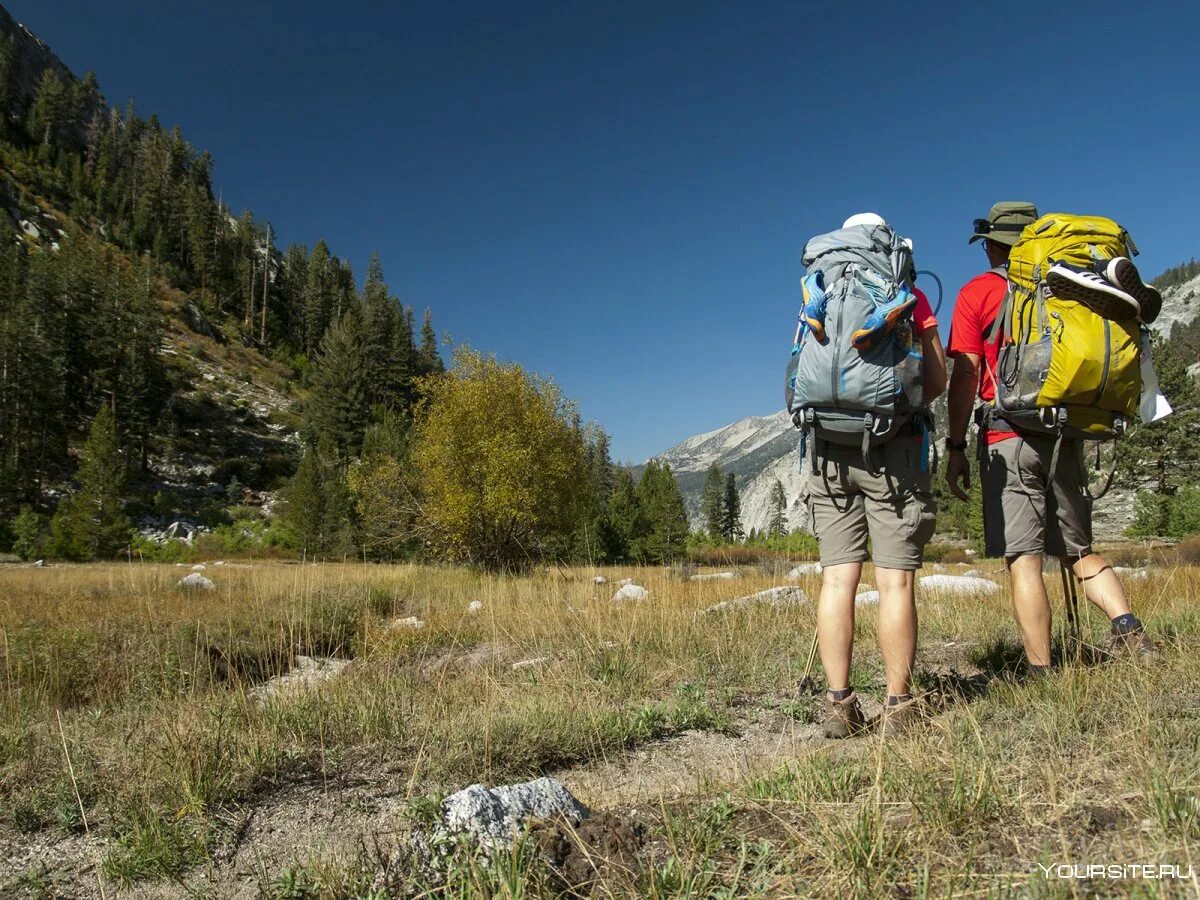 Exploring the wilderness