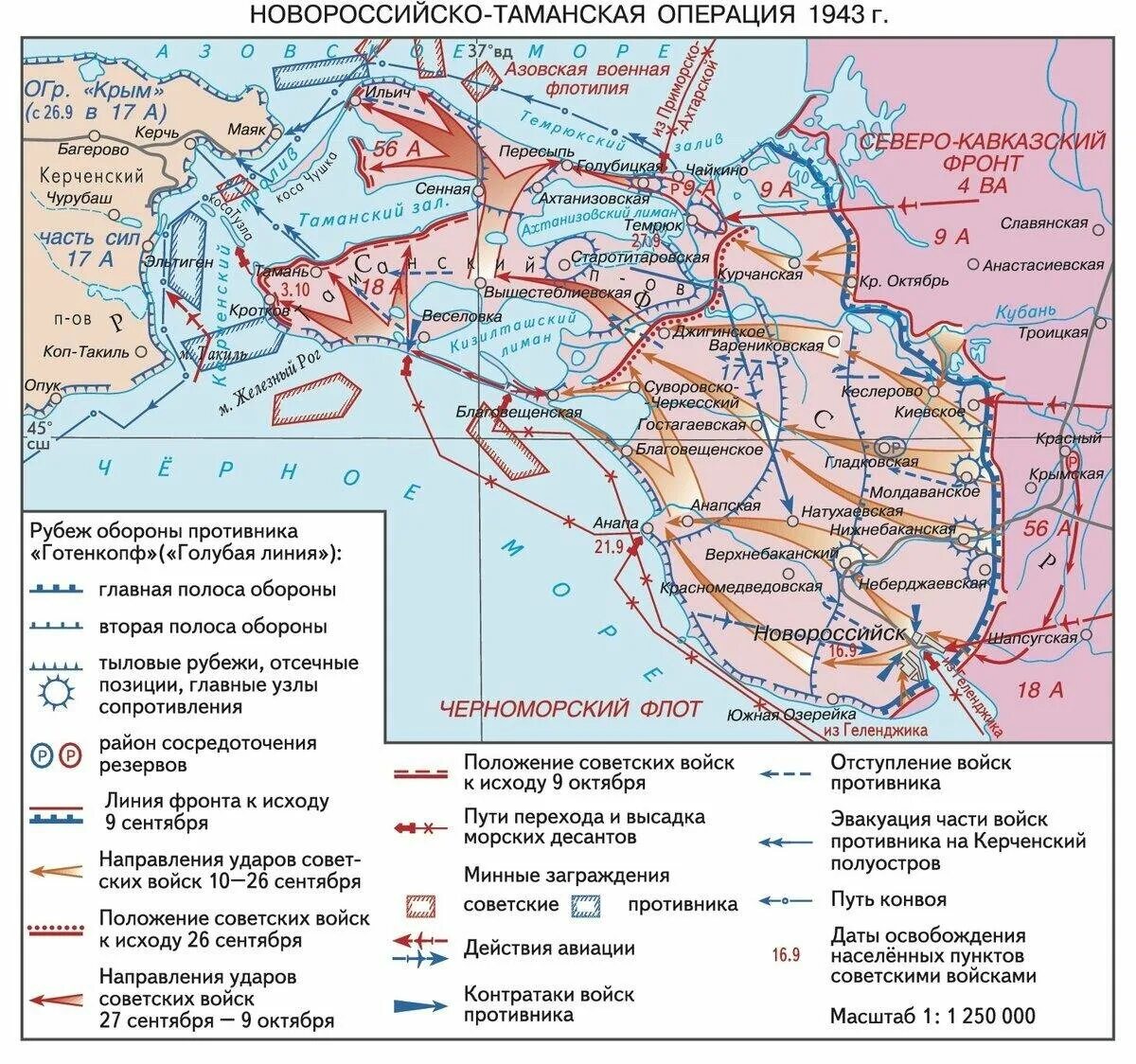 Новороссийско-Таманская операция 9 сентября-9 октября 1943 г.. Освобождение Таманского полуострова 1943. Новороссийск - Таманская операция. Новороссийско-Таманская операция 1943. Северо кавказская операция