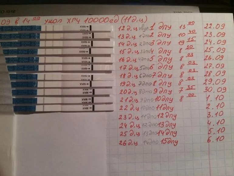 После овуляции можно забеременеть форум. ХГЧ укол овуляция 5000. Тесты при ХГЧ. Тест после овуляции. ХГЧ тест на беременность.