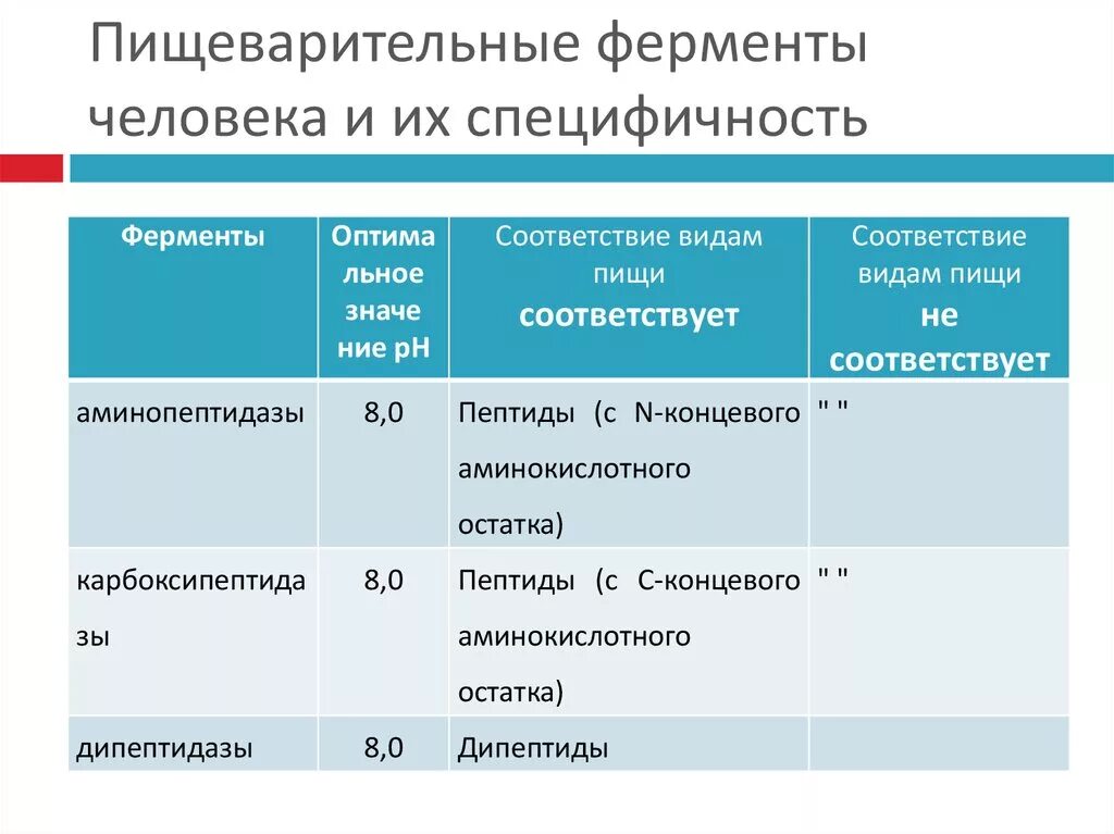 Пищеварительные ферменты список. Аминопептидазы Оптимум PH. Пищеварительные ферменты. Пищеванитильные проыерменты. Ферменты пищеварительной системы человека.