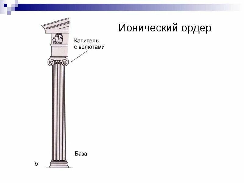 Веб ордер. Ионический ордер. капитель ионического ордера. греческий ордер схема. волюты ионического ордера.