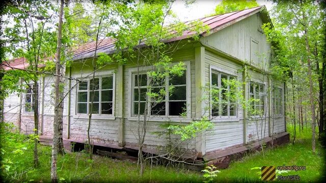 Дол чайка ленинградская область. Лагерь Чайка ЛЕНОБЛАСТЬ. Пионерский лагерь Чайка Ленинградская область. Пионерский лагерь Чайка Ленинградская область Выборгский район. Пионерский лагерь Чайка Калужская область.