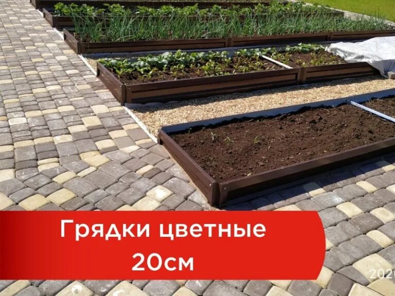 Грядка царица