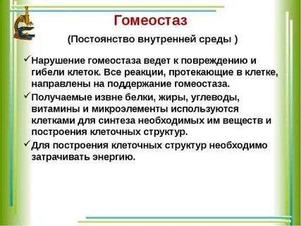 Равновесия гомеостатических механизмов человеческого организм