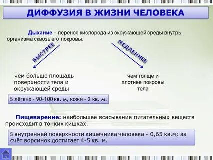Роль диффузии в жизни человека