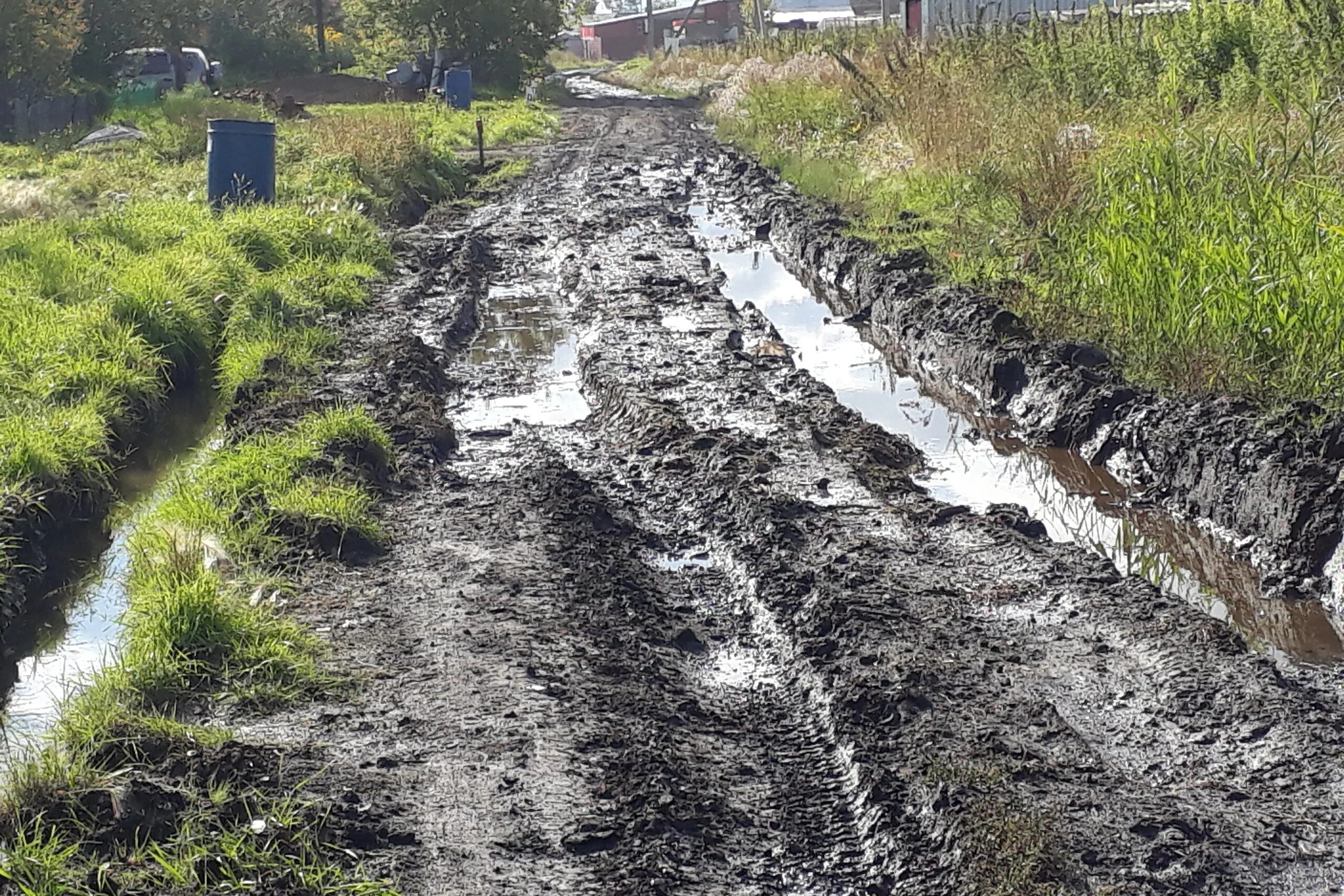 сухая канава. тверь грязь. грязная канава. канава с грязью. грязная канава.