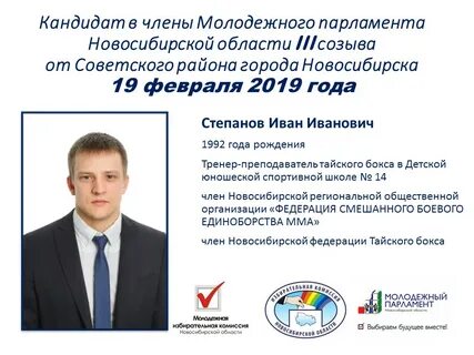 Кандидат в парламент