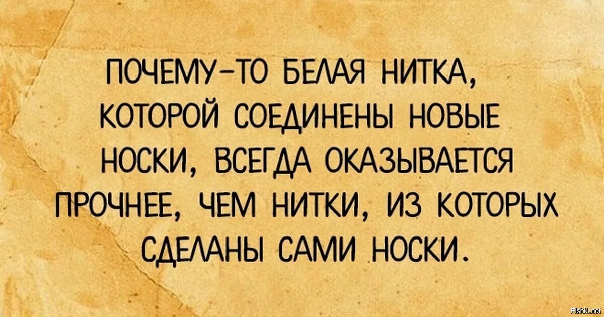 Смешная мудрость. Веселая мудрость в картинках. Смешные Мудрые цитаты. Мудрость цитаты смешные.