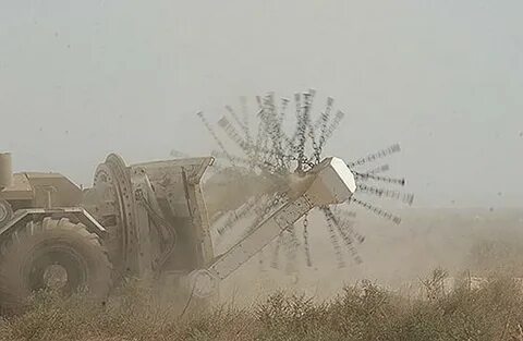 Winds say