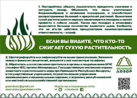 Инспекция животного растительного