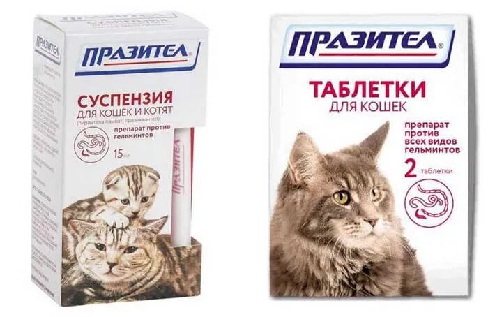 Таблетки от глистов для котят 2 месяца название. Лекарство от глистов для кошек таблетки. Препараты против глистов для котят. Препарат от гельминтов для кошек. Проглистогоненный котенок