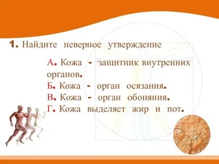 Как работает наш организм 3 класс тест