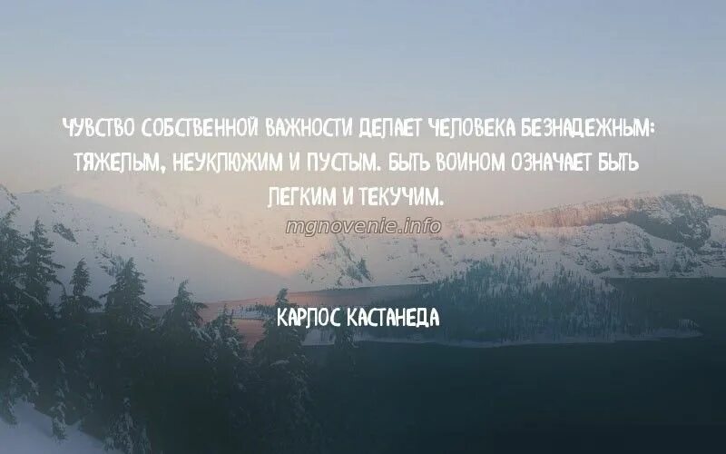 Чсв песня спасибо. Афоризмы про важность. Цитаты про важность. Чувство собственной важности цитаты. Цитаты про важность человека.