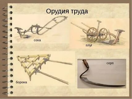 Год соха картинки