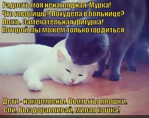 Нео мое выздоровление от него. Нео мое выздоровление от него