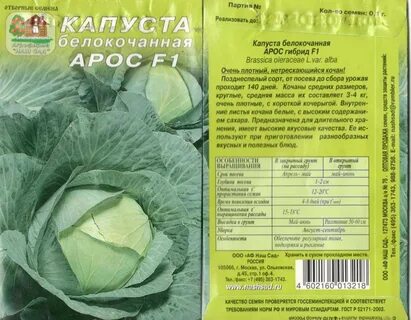 Капуста поздняя сорта для открытого грунта лучшие