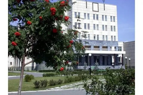 Ук жемчужина курган