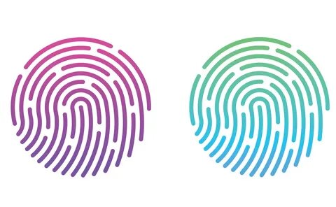 Touch fingerprint