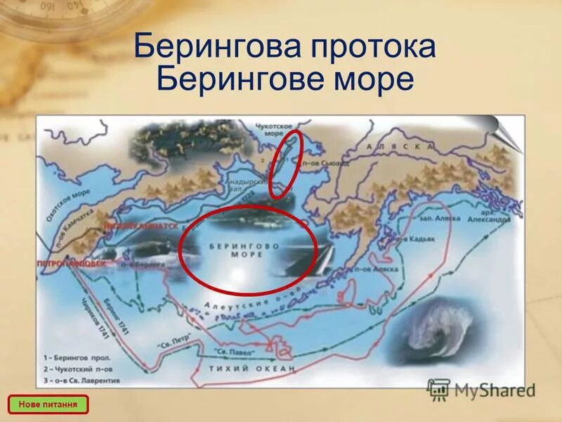 Чукотское побережье берингова моря. Залив бристольский тихий океан. Линия шеварднадзе в беринговом море. От балтийских берегов до берингова моря. Типы берегов.