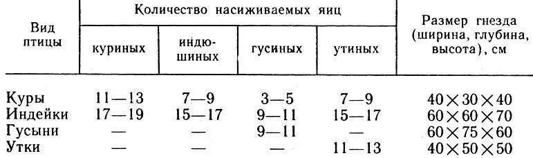 Можно ли под курицу подкладывать яйца. Гнезда для высиживания яиц куриных. Сколько нужно подложить яиц под квочку. Ячейка для утиных яиц. Ячейки для инкубации гусиных яиц.