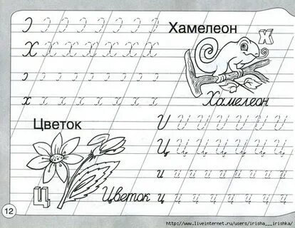Прописи буква ц