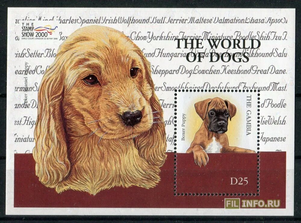 Марки гренада собаки 1997 года. Сахара марки собаки 2000. 2000 dogs в рублях. Гренада фауна. Сахара марки собаки 2000.
