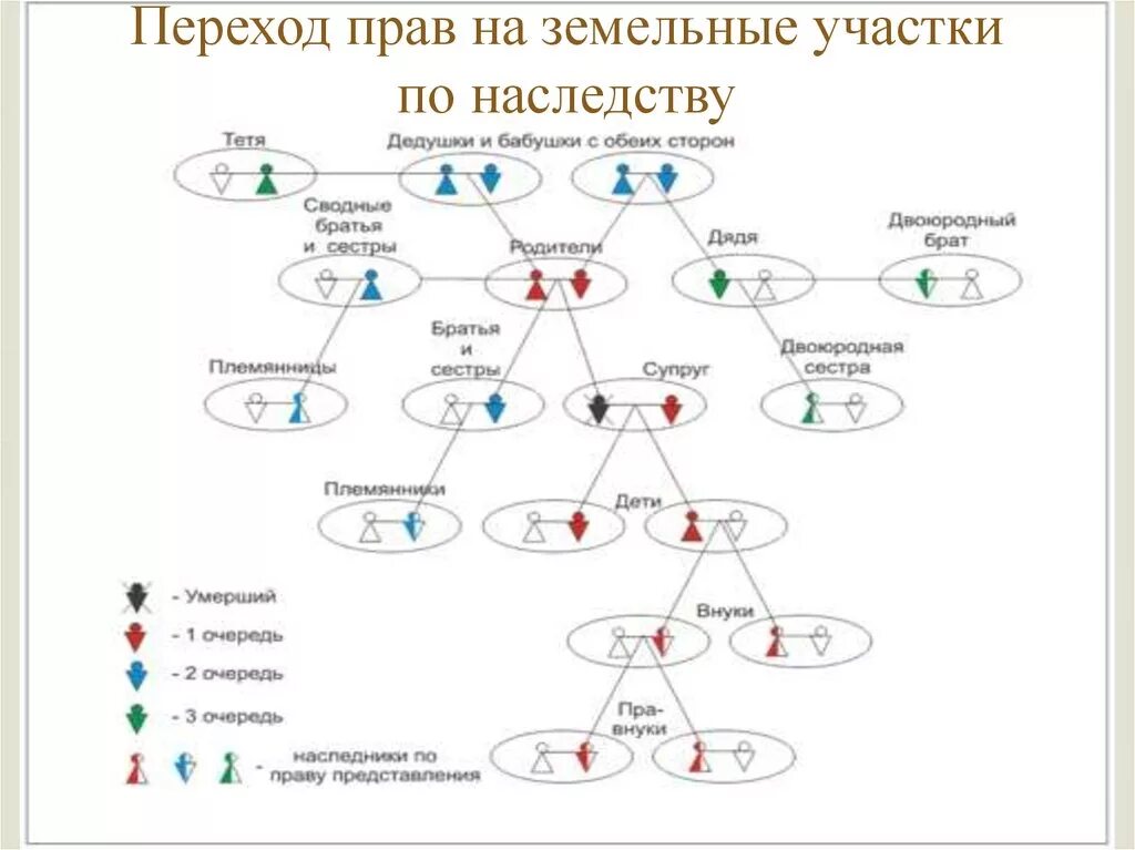 Племянница дедушки. Очереди наследования схема. Система родства. Схема родства для наследства. Степени родства схема.