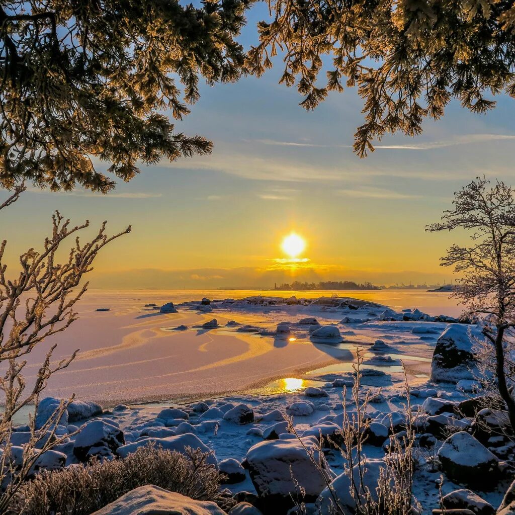 Финляндия январь. Природа финский залив Восход. Зима солнце. Зимний закат. Зима закат.